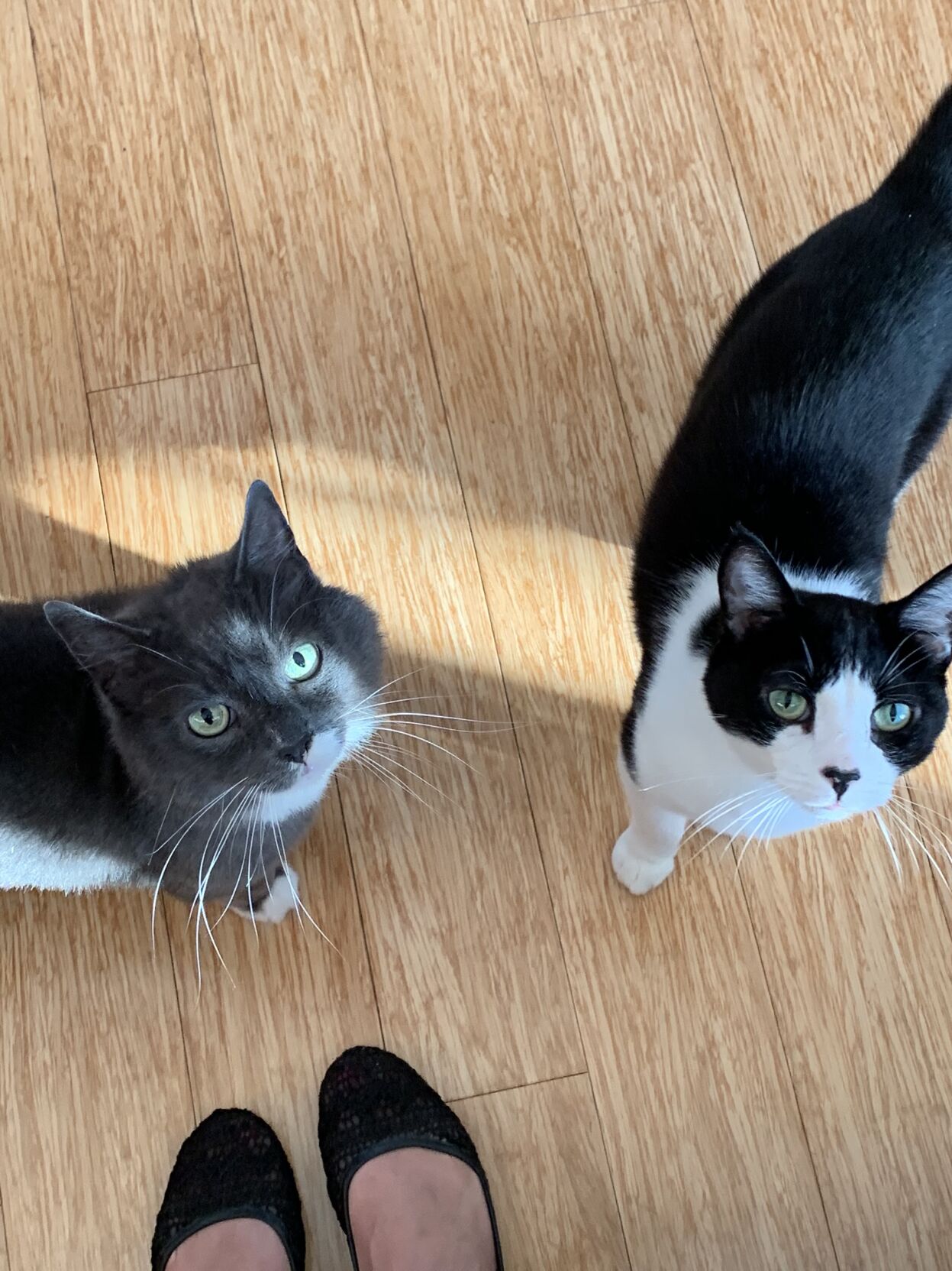 Fred and Buster